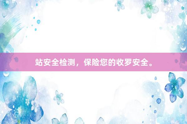 站安全检测，保险您的收罗安全。