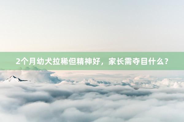 2个月幼犬拉稀但精神好，家长需夺目什么？