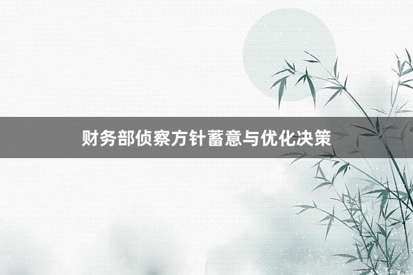财务部侦察方针蓄意与优化决策
