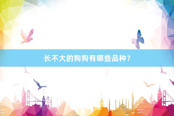 长不大的狗狗有哪些品种？